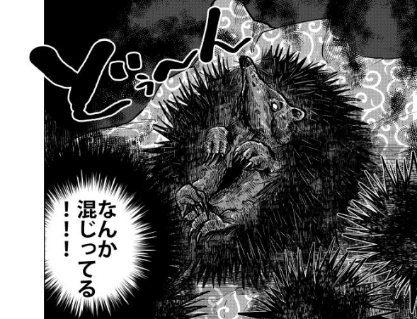 本日発売の漫画アクション最新号にて『桐谷さんちょっそれ食うんすか!?』最新話掲載です。トゲトゲチクチクジビエ回!#漫画アクション #桐谷さん  #グルメ漫画 #ジビエ #雑食好きとつながりたい 