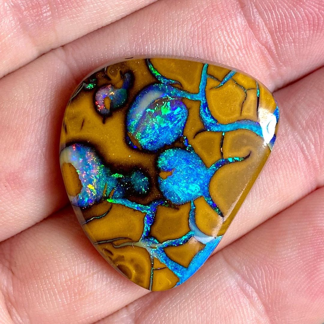 GeologyTime's tweet photo. A beautiful Koroit opal cab cut from an unusual nut 

Photo: Gene McDevitt

#minerals https://t.co/j6Ci8qE0LA