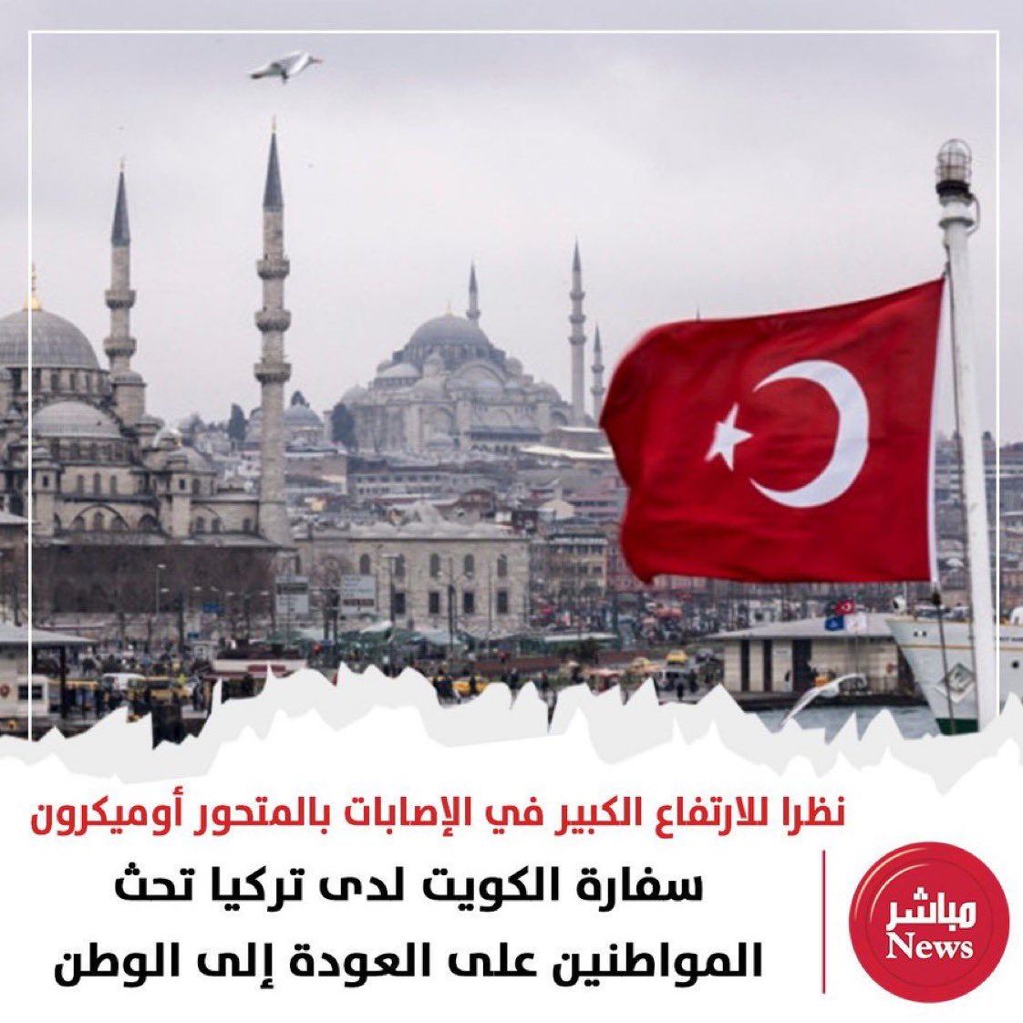 دلع المفتي🎀 tweet media