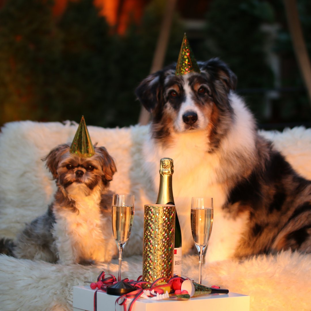 Happy New Year from the Open Range Family! 🥳