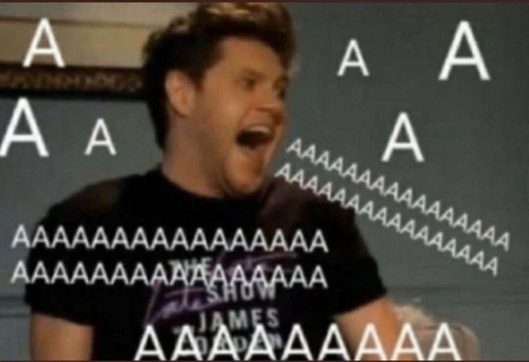 ooioooikevin's tweet photo. @NiallOfficial https://t.co/OguIdkkoRf
