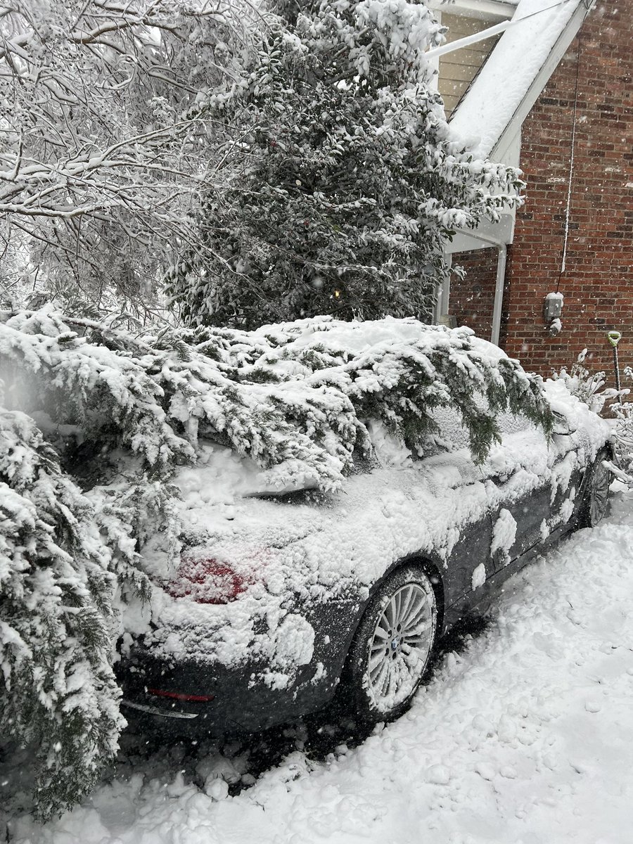 amcdowell1's tweet photo. Tree #3 just fell on our driveway in Alexandria. 1st one fell between 2 cars. 2nd bulls-eyed into another car. 3rd one fortunately just hit the ground. 2 more looking sketchy. Super fun day all around. @capitalweather https://t.co/WEwJwt0foI