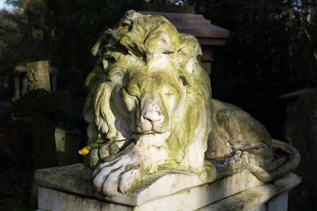 Abney Park Cemetery, one of the Magnificent 7 London cemeteries #london #photooftheday #photographyisArt #hackney #n16 #cemetery