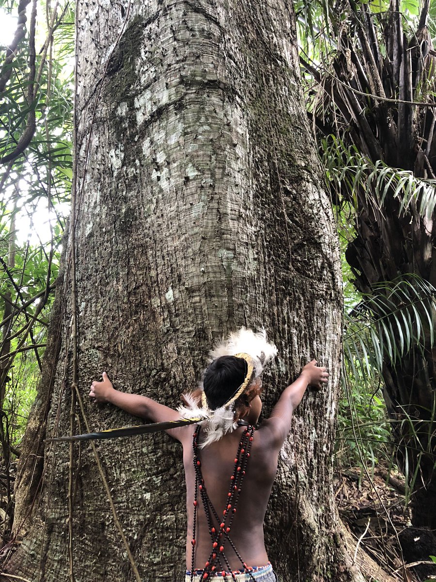 oyxabaten's tweet photo. We love the forest and the forest loves us. @MONOGRAMA_NFT @superworldapp @lucianoducirilo @Augusto47529918 @rodrigo_surui @Vanessa53159721 https://t.co/VxKDYlNxDR