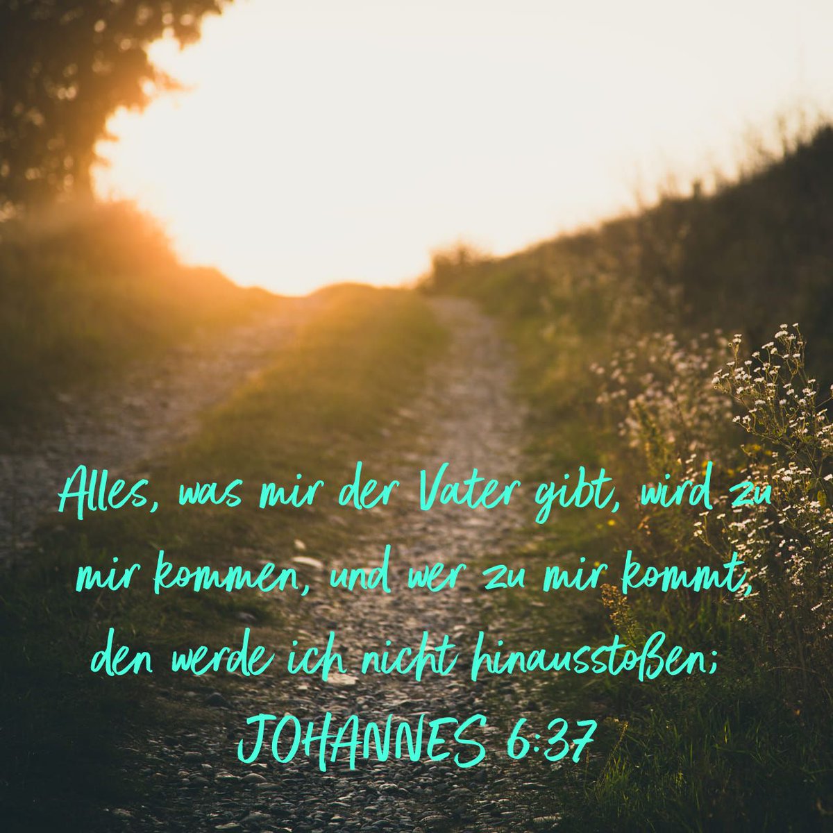 LookWhatIsSaid's tweet photo. Alles, was mir der Vater gibt, wird zu mir kommen, und wer zu mir kommt, den werde ich nicht hinausstoßen;
JOHANNES 6:37 ELB

https://t.co/eSGFDPDftD https://t.co/bB5LdDhq7V