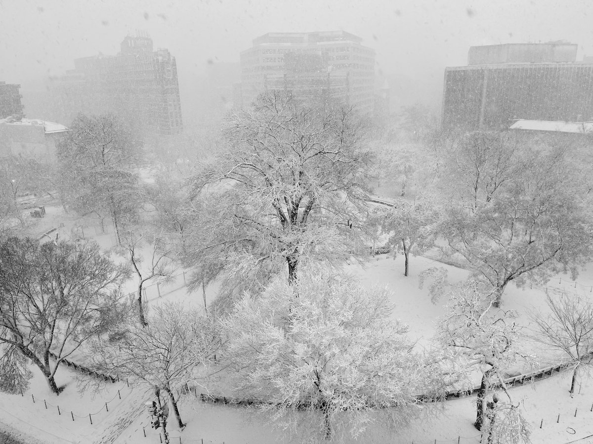 Mark Payne tweet media