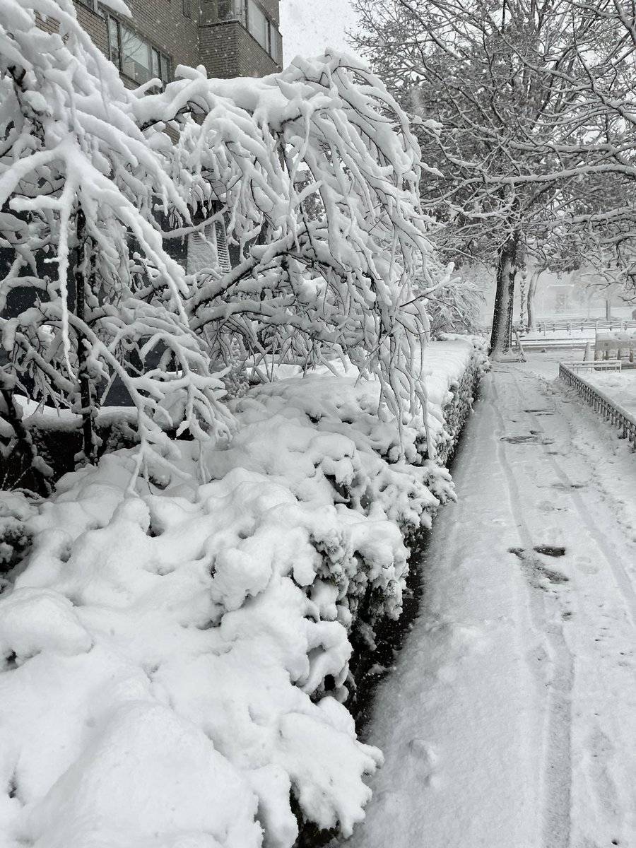 Mark Payne tweet media