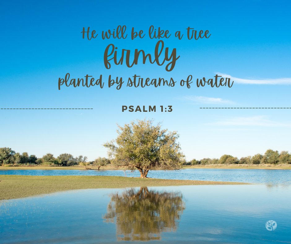 TeamTrueVine's tweet photo. He will be like a tree firmly planted by streams of water,
Which yields its fruit in its season
And its leaf does not wither;
And in whatever he does, he prospers.
- Psalm 1:3 (NASB1995)

#VOTW #verseoftheweek #teamtruevine https://t.co/e1fWYJ3gRN