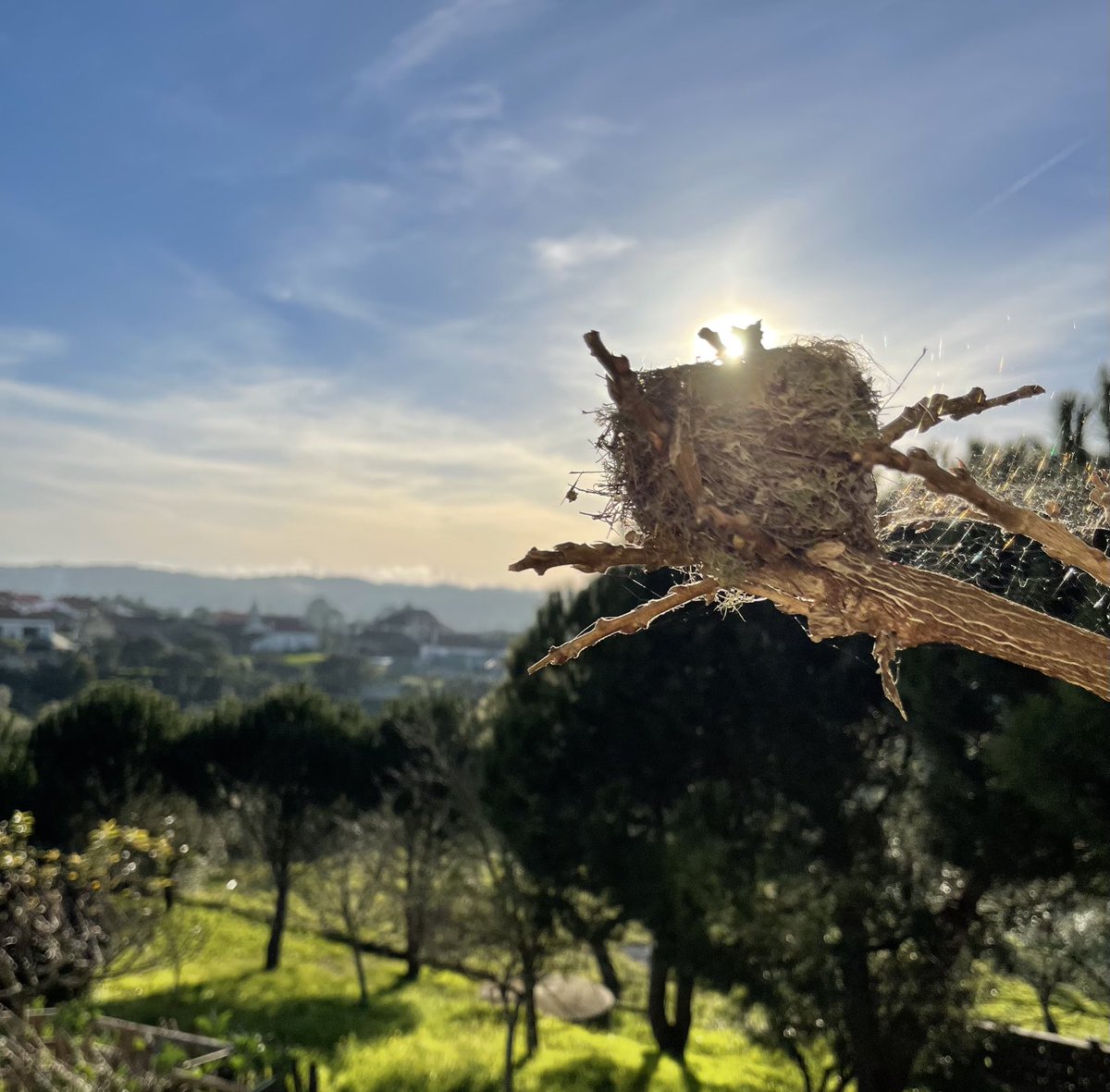 Isilda neves (@isilda_neves) on Twitter photo 