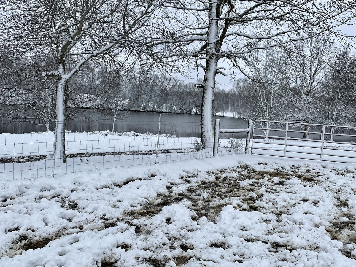 BradJean16's tweet photo. One pretty view from the farm this morning! https://t.co/lNxf1zeFSO