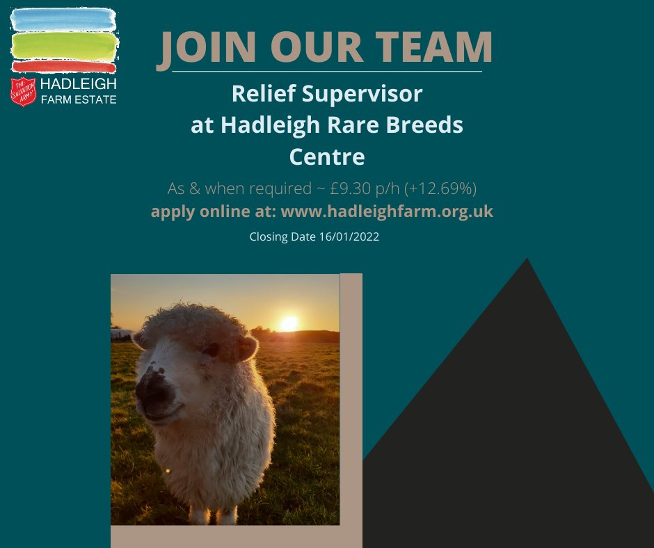 SalArmyHFE's tweet photo. We are recruiting Relief Supervisors for the Rare Breeds Centre.
For more information and to apply, please see our website
Closing date: 16 January 2022
#recruiting #workwithanimals #jobs #hiring #reliefwork https://t.co/ZlCTIe88gi