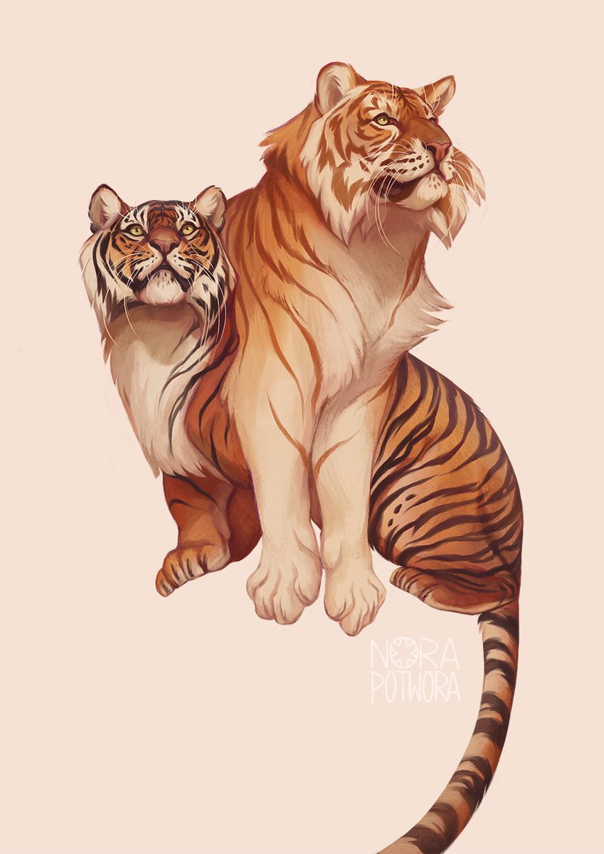 NoraPotwora's tweet image. It's a year of tiger, so let's began with some burritos!

On poll on IG it came out that you folks want to do DTYIS of this, so let's draw some striped burritos together. It's simple one so I hope lots of you will find some time to take part in!