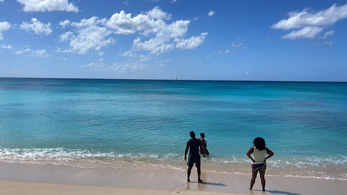 DocEyeLean's tweet image. 🇧🇧