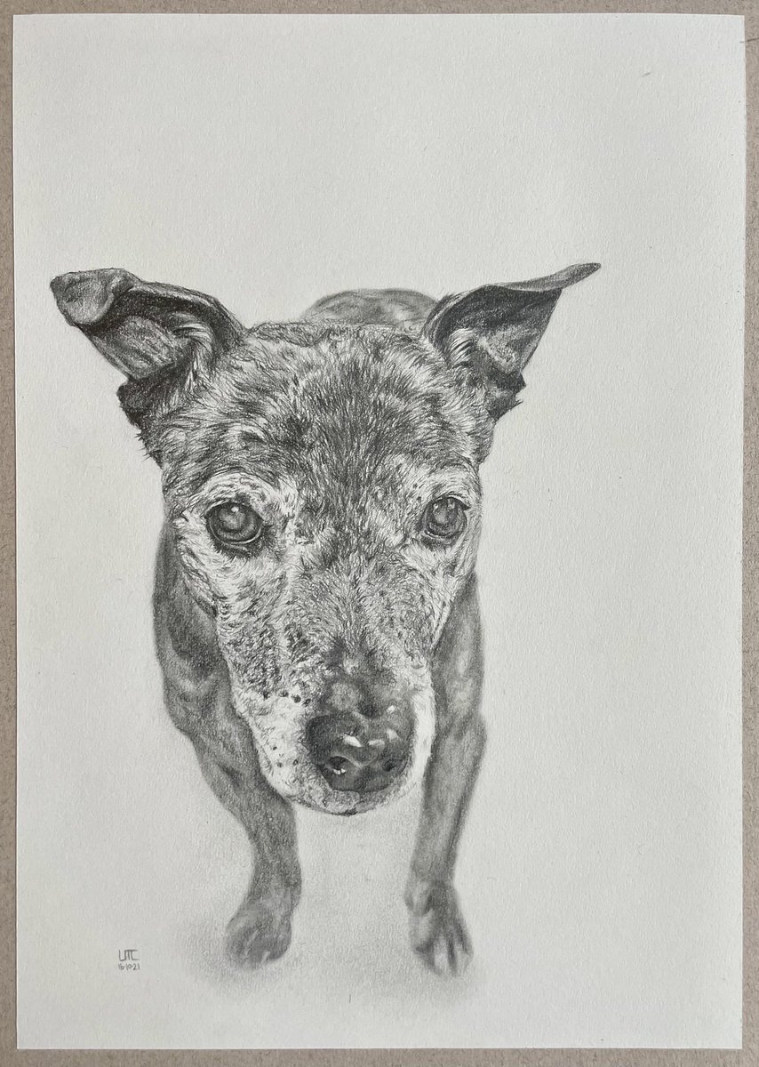 JuCLuC's tweet photo. 16.10.21 - Jack (Pencil)

This guy has been lost in French customs since October! So glad I took a decent photo so I could send the client a print free of charge. All received and happy :) https://t.co/zUvFWfTNkK