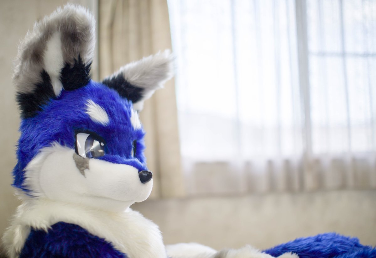 クゼル tweet media