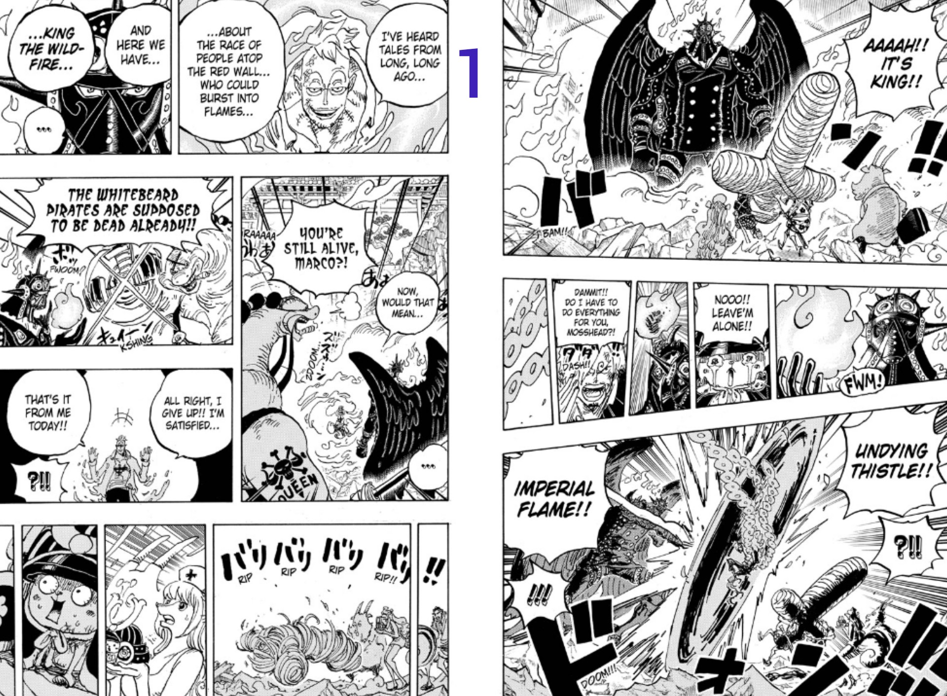 One Piece Chapter 1032 Spoilers Tease Zoro's Fight With King