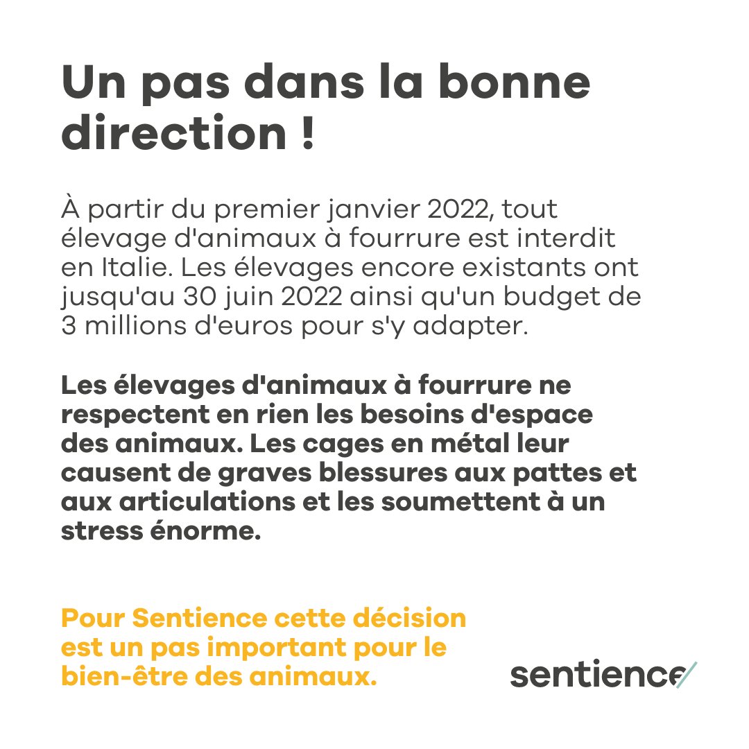 Sentiencesuisse's tweet image. Le premier janvier 2022, l’Italie est devenue le 16ème pays d’Europe à interdire l’élevage d’animaux à fourrure. Dans des pays tels que la France, la Croatie ou l’Autriche une telle interdiction est déjà inscrite dans la loi.
Voici le lien vers l’article 
leparisien.fr/societe/litali…