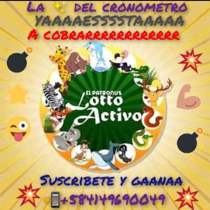 PabloJota27's tweet photo. ((( #HUUUBOOOESPECIAL ))) Sin Sufrir Y Sin Despeinarse #YAAAESSTAAA En 4 Sorteos Mis 2 Informaciones Del Dia #MILLONARIOSDENUEVO Y Asi En #LottoActivo Arrancamos A Todo Tren; A Cobrarrrrrrrrrrrrrrr https://t.co/OFxgf0RdL8