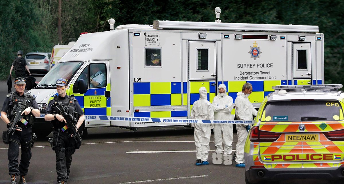 moleatthedoor's tweet photo. Actual footage of Surrey Police investigating a hurty tweet... 👀😶😐 https://t.co/F6lnAav2an