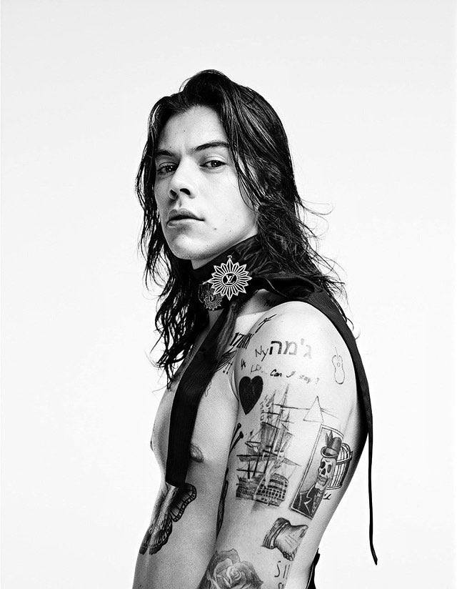 theharrylibrary's tweet photo. https://t.co/IS8f6tFXye