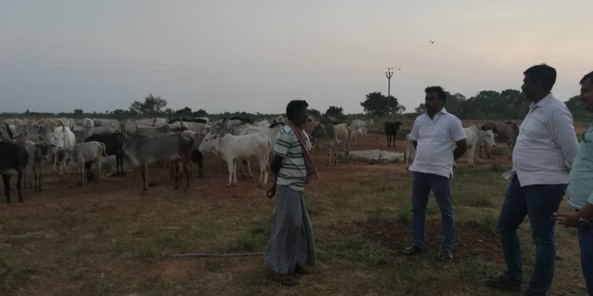 KabilanMadurai7's tweet photo. நபார்டு மதுரை மண்டல மேலாளர் இன்று மாலை தொழுவம் வருகை தந்து, தொழுவம் மேற்கொண்டுவரும் பணிகளை 
 ஆய்வு செய்தார்!! https://t.co/6nsA68Eein