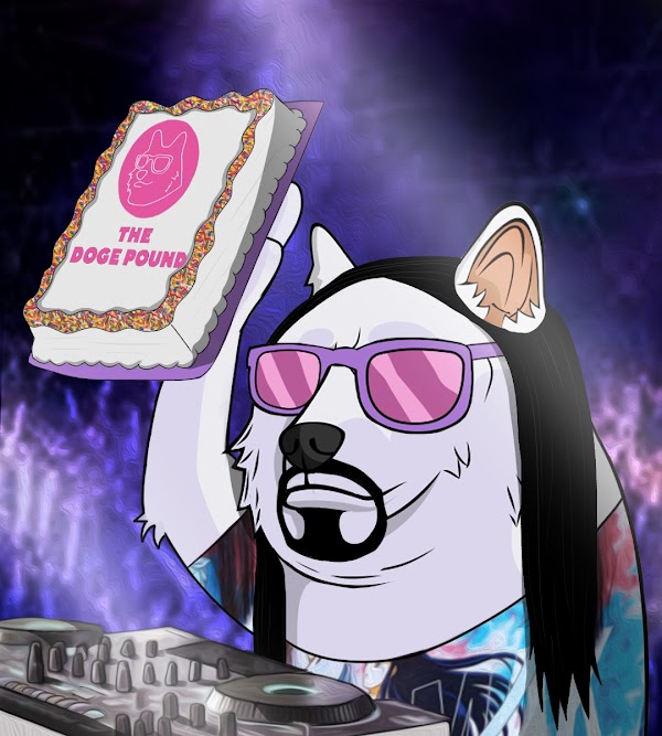 steveaoki's tweet photo. .@TheDogePoundNFT are starting 2022 off with a bang! I'm super excited for what they have in store! 3D Doge? Maybe some new music? https://t.co/cO0FjZU5mU