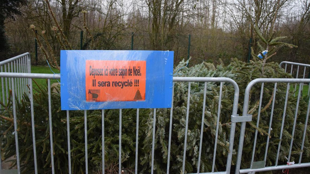 VDNDouai's tweet photo. #Loffre: fêtes terminées, sapins collectés https://t.co/onCZJl2a16 https://t.co/2WAaokFzN6