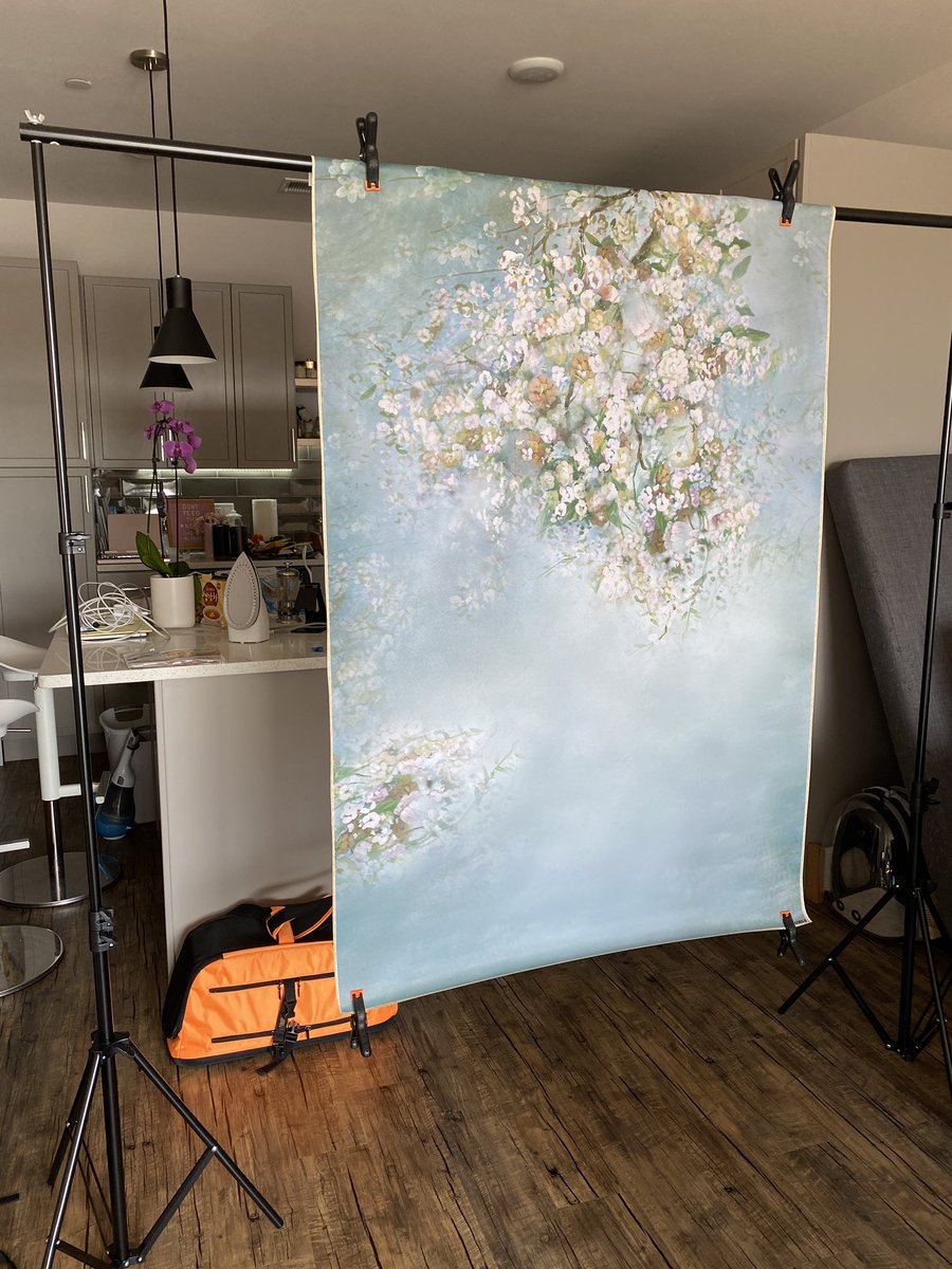 fairyflux's tweet photo. Best thing I bought last year was this backdrop stand https://t.co/Av6k5piFIu