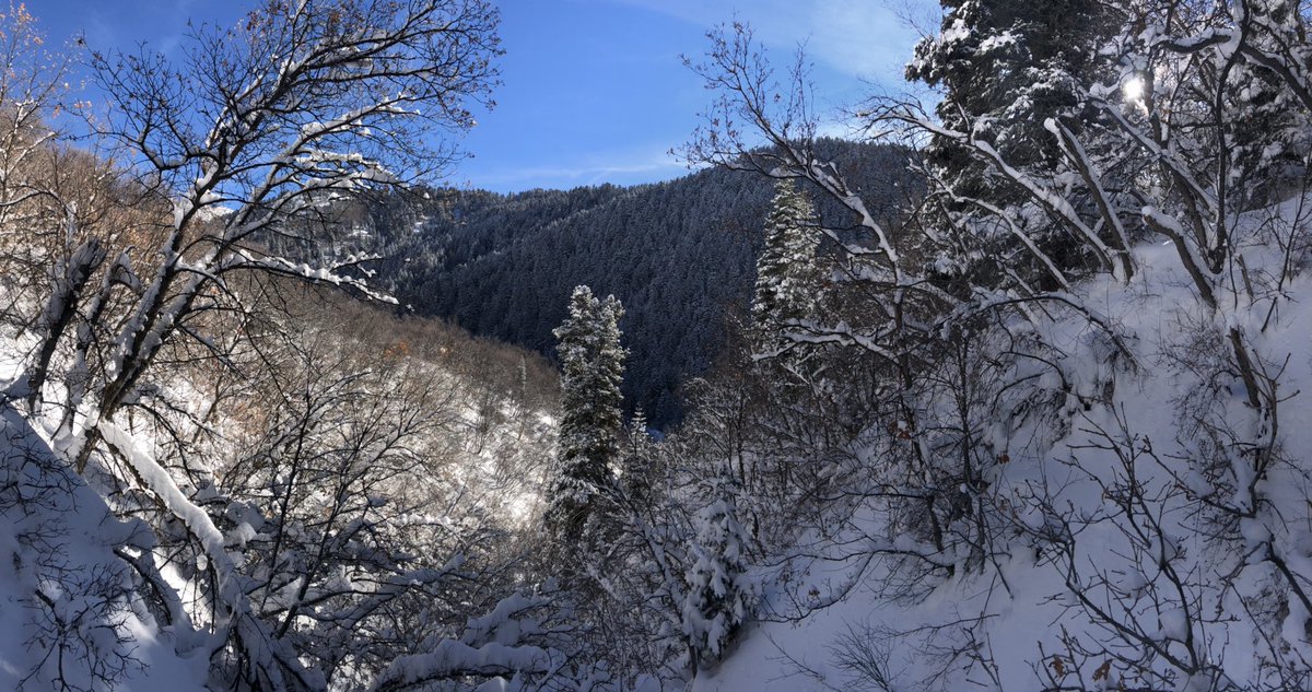 Utah SPARC tweet media