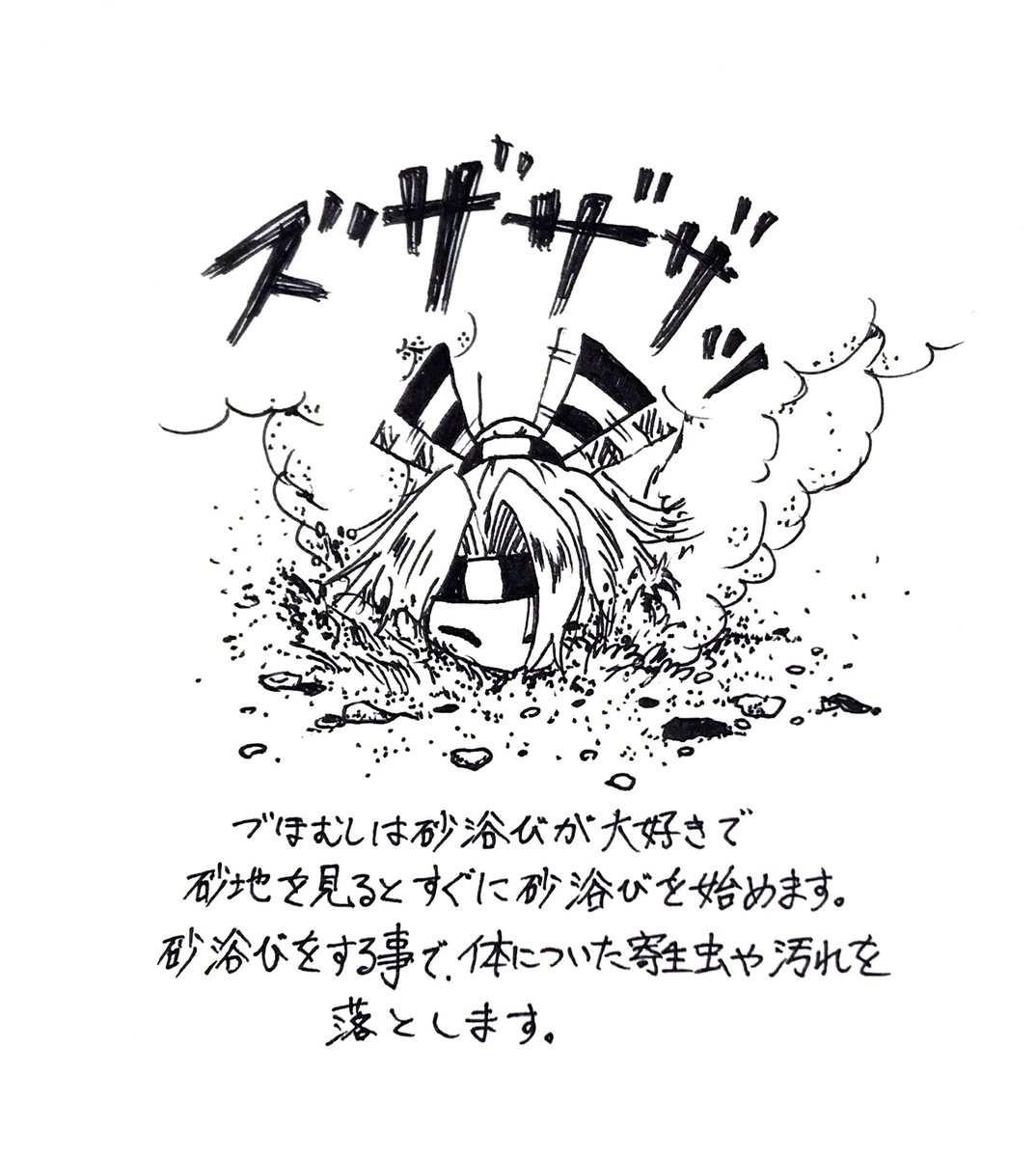 づほむしの生態レポート32 #づほむし 
