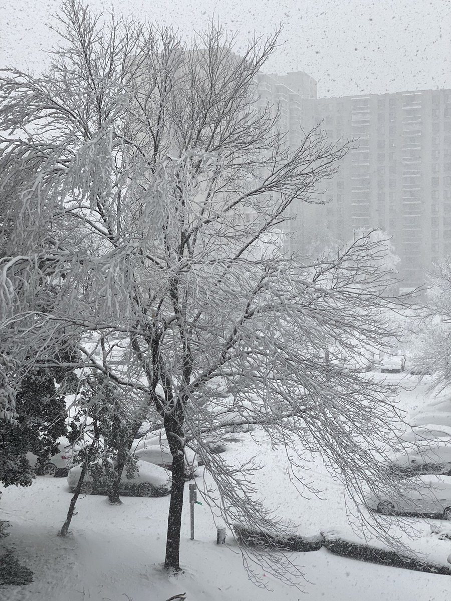 mymcmedia's tweet photo. It’s the #FirstDayOfSnow here in Montgomery County. Tag us in your #FirstDayOfSnow pictures and videos to show us how you are spending it! https://t.co/oV12c3JMrT