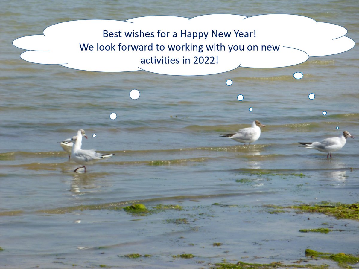 EuropeAtlasSeas's tweet photo. #HappyNewYear! 

Learn about marine bird observations with the  @EuropeAtlasSeas !🗺️https://t.co/c3qA0FRWCG

#OceanLiteracy #Education #ForNature https://t.co/C9uX1yVcoc