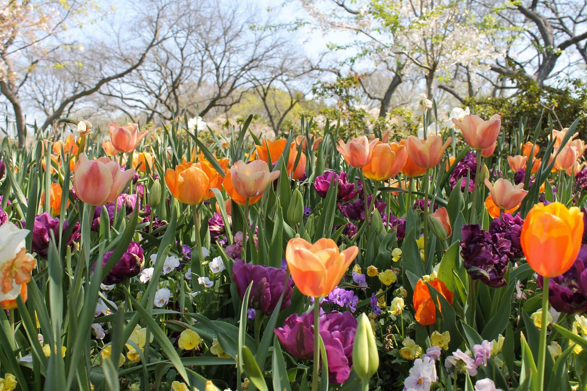 BethFratesMD's tweet photo. "Those who go forth ministering to the wants and necessities of their fellow beings experience a rich return, their souls being as a watered garden, and a spring that faileth not." ― Lucretia Mott

#MondayMotivaton #Mondayvibes #SuccessTRAIN https://t.co/QajjW3uI5T
