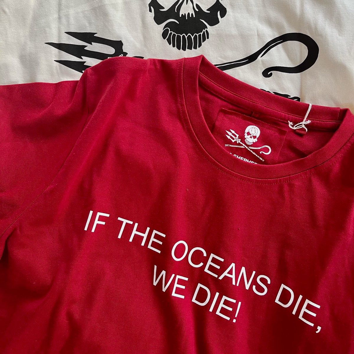 OrcaOrigins DAO 🐋 tweet media