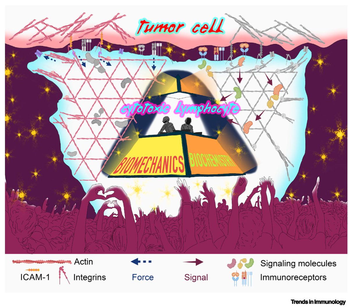Maria Tello Lafoz tweet media