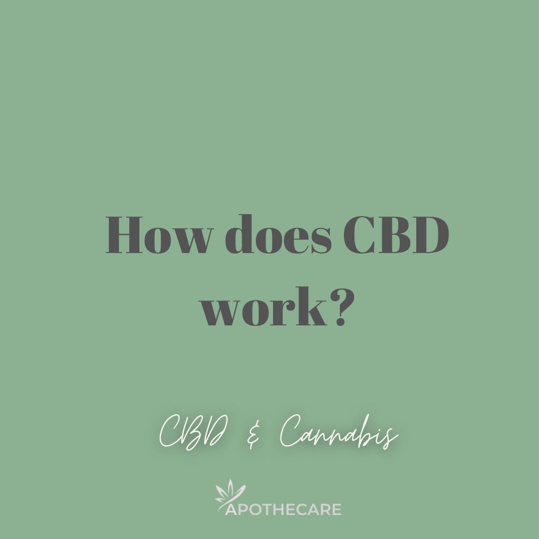 CBD is theorized to work by antagonizing or potentiating the effects of THC in different areas of the body.  It also affects several ion channels, receptors and enzymes to produce its effect  #torontocannabiscommunity #torontowellness #cannabisexpert #torontopharmacist