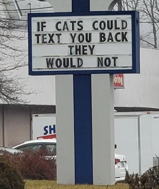 dogs would double text
