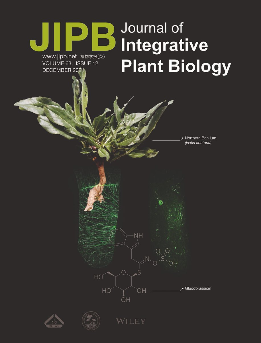 JIPBio's tweet photo. ✅#Goal for 2022: Publish with #JIPB! 
✏️🔬🧪🌱🧬📑
Visit us today at https://t.co/OcRJvkphNs, and explore our publishing opportunities, including an invitation to submit papers for our special December 2022 issue on #epigenetics (submission deadline, July 1) @wileyplantsci https://t.co/5DGbzx1J3Y