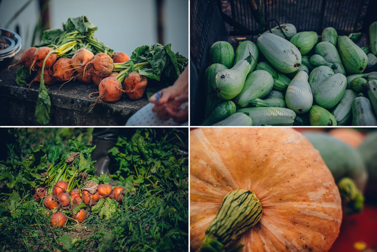 BioLogiski's tweet photo. @EKOprodukts aicina uz mācībām “Bioloģiskā dārzeņkopība” 🥦🥔🧅
📍 Mācības notiks 6. janvārī Cēsīs un 7. janvārī Zoom tiešsaistē. 
📍 Sīkāku informāciju par pieteikšanos, norises gaitu un vietu, kā arī darba kārtību meklē https://t.co/HBghMVhe67 - https://t.co/yiVgp5r5oU... https://t.co/AIwX0OGmwo