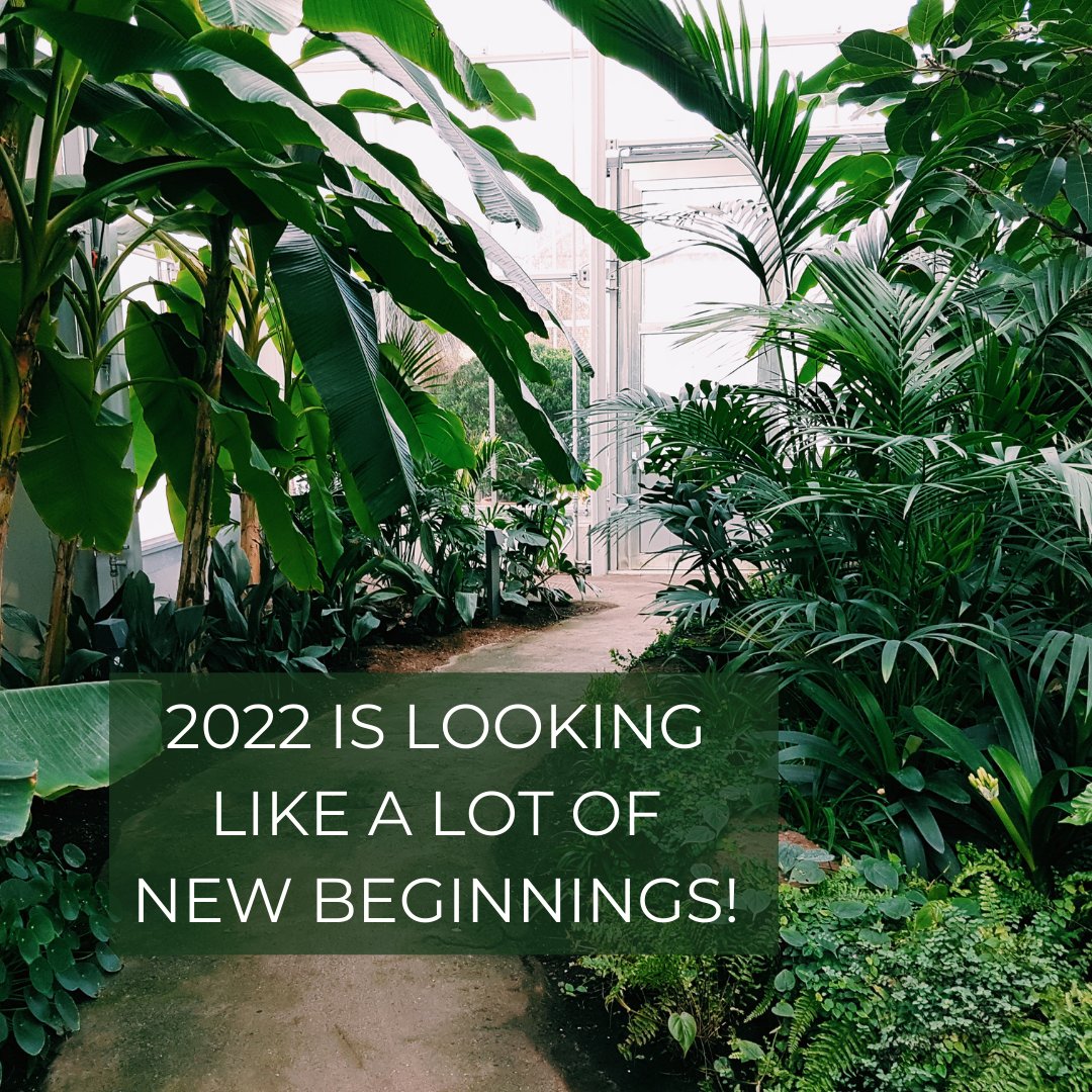 Houston Training Schools tweet media