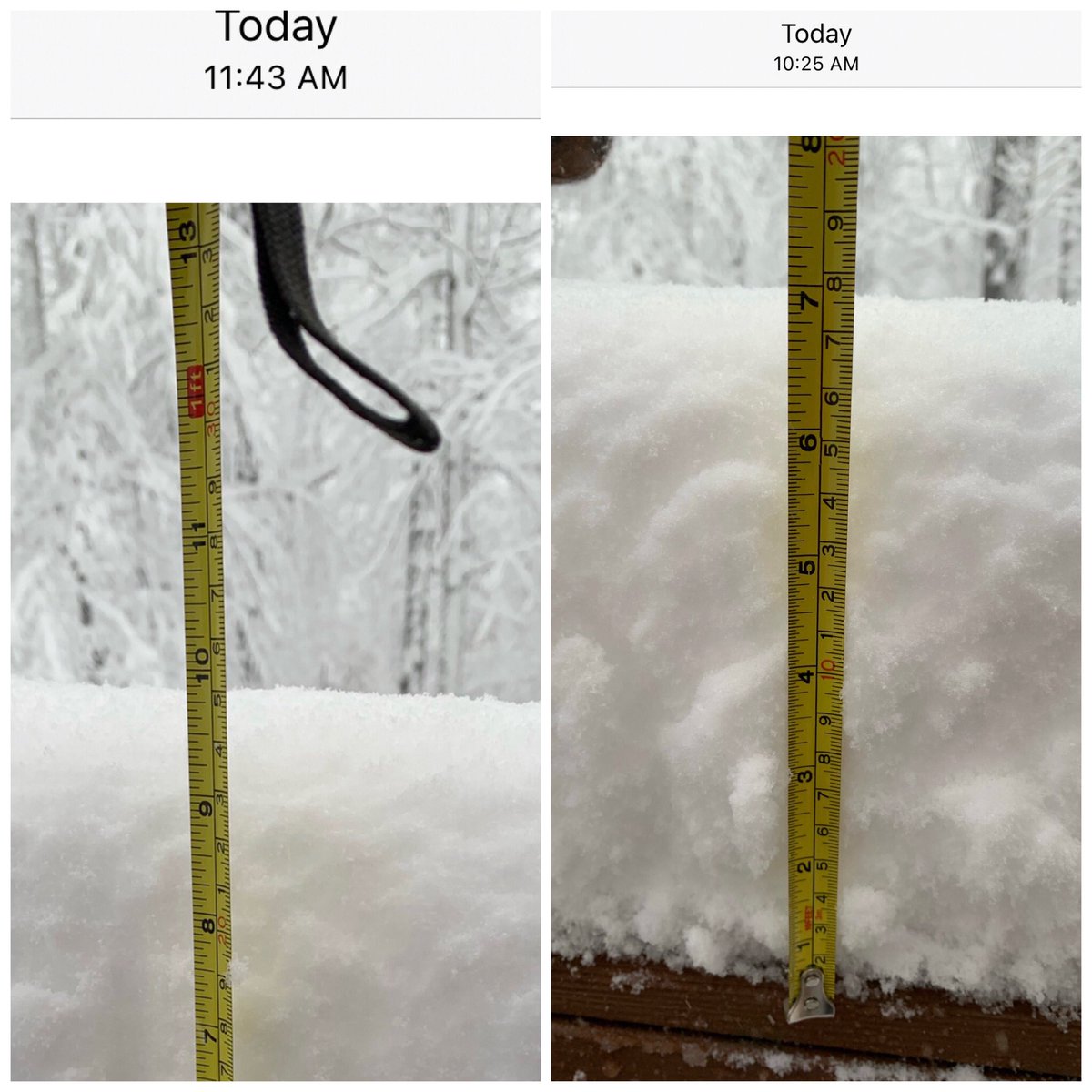 CINC_House's tweet photo. @dougkammerer @laurynricketts West Springfield❄️❄️❄️❄️ https://t.co/6dZ9s79nAQ
