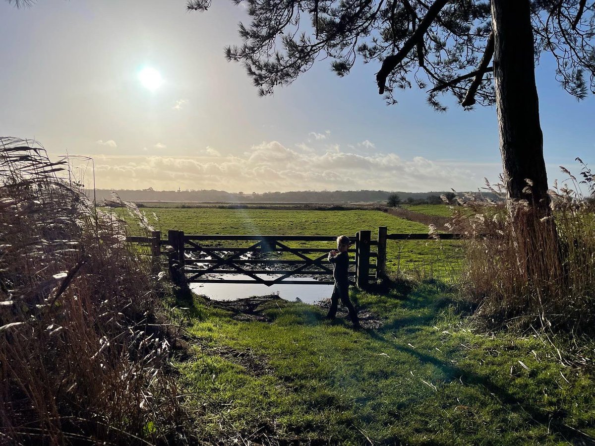 Nelson’s County at its finest today #norfolk #holkham