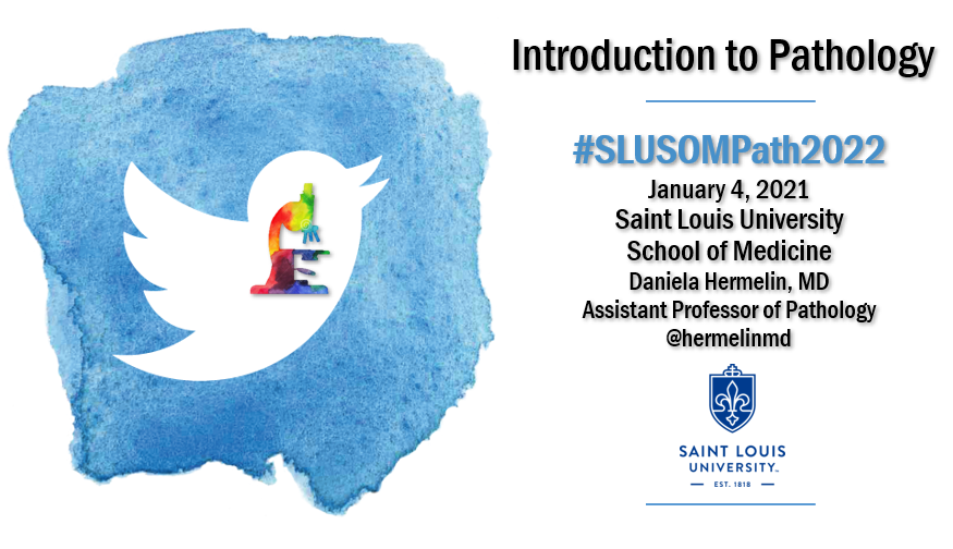 HermelinMD's tweet photo. 👋🏽Welcome to #SLUSOMPath2022. Today we discussed how we will be using Twitter as a resource to review #BasicPathology lecture material, extend learning beyond the classroom, & participate in #MedEd. Let’s get started & review some of the key points👇🏽 Follow the #Tweetorial below https://t.co/lOvfqftG1e