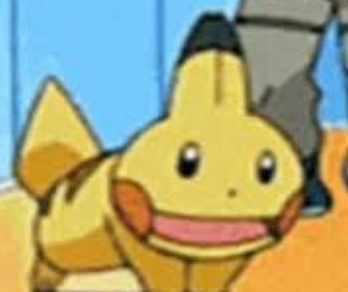 Pikachu Mudkip lives in my heart rent free