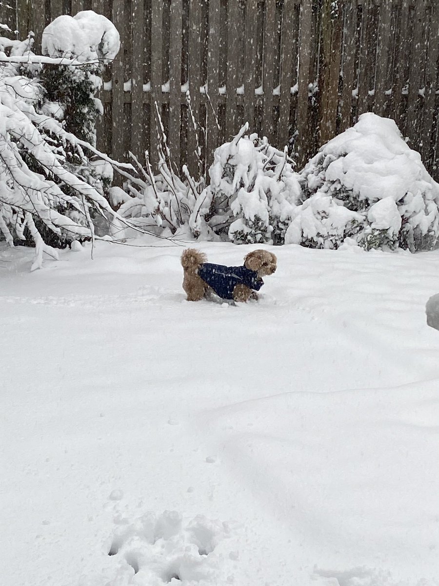 Yesterday: 60 degrees. Today: