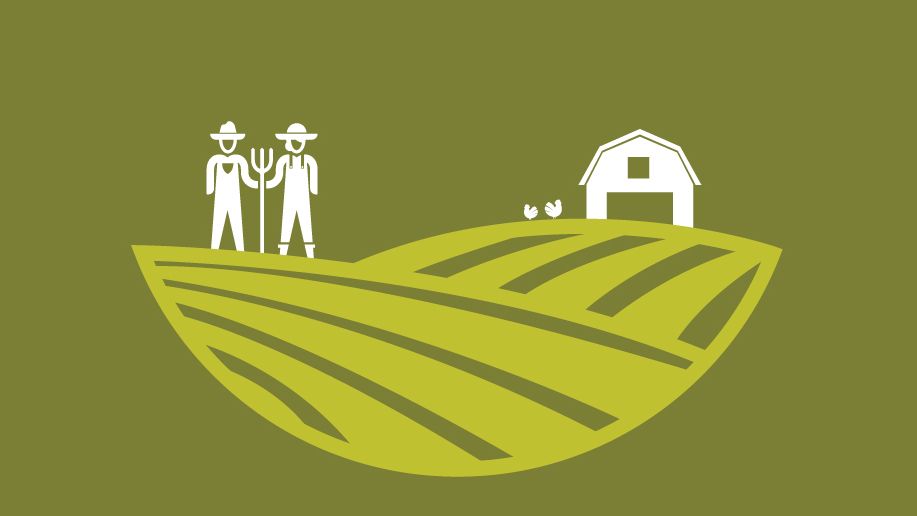 Applications for our 2022 Lakewinds Organic Field Fund (LOFF) grant program are being accepted all month long on our website. Find out more about the program, preview the application, and submit yours by January 31 at lakewinds.coop/community/loff/