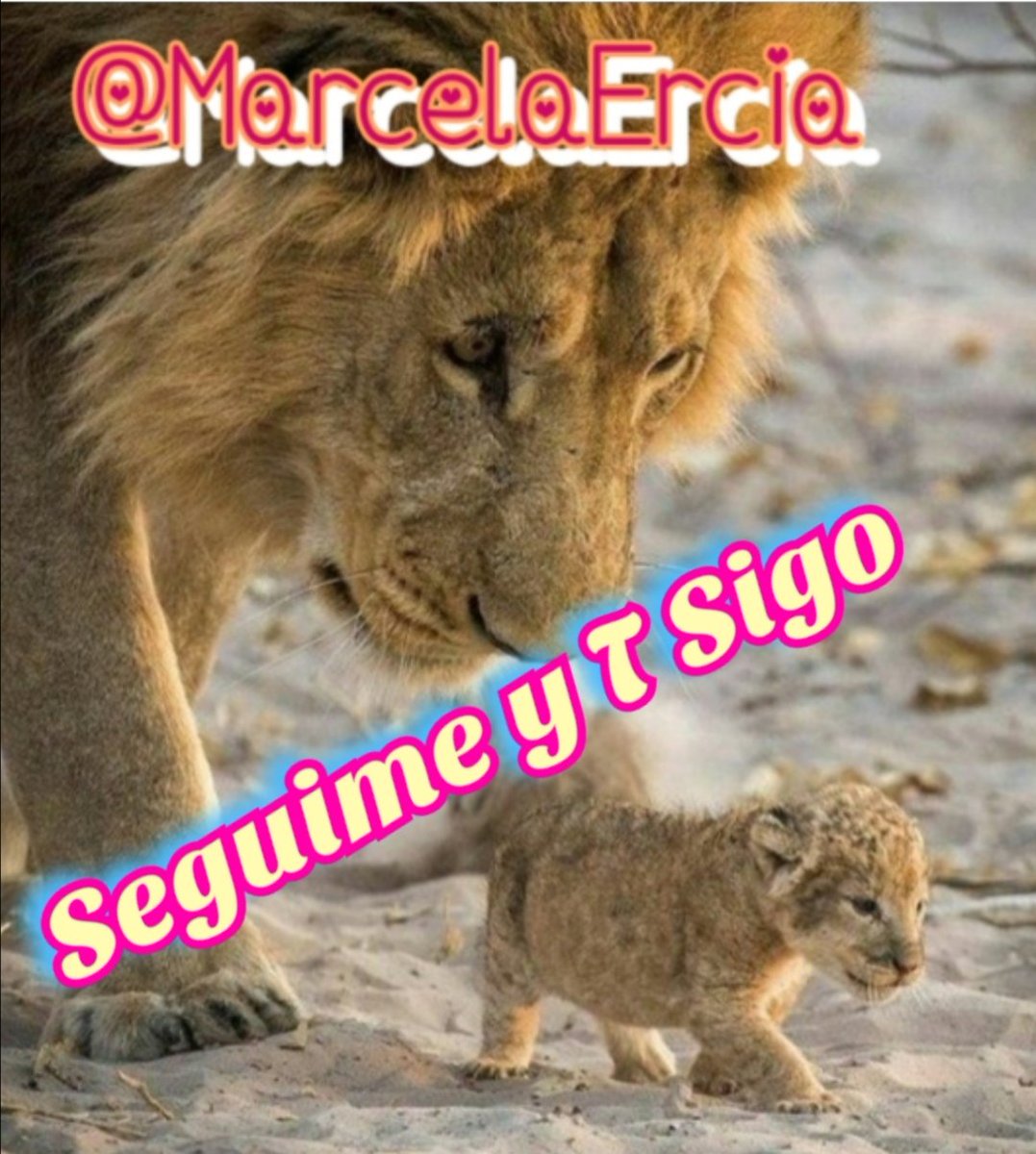 🕉MARCE🐉⚖ #MarceTeAyuda🔮#JesúsCambióMiVida✝ tweet media