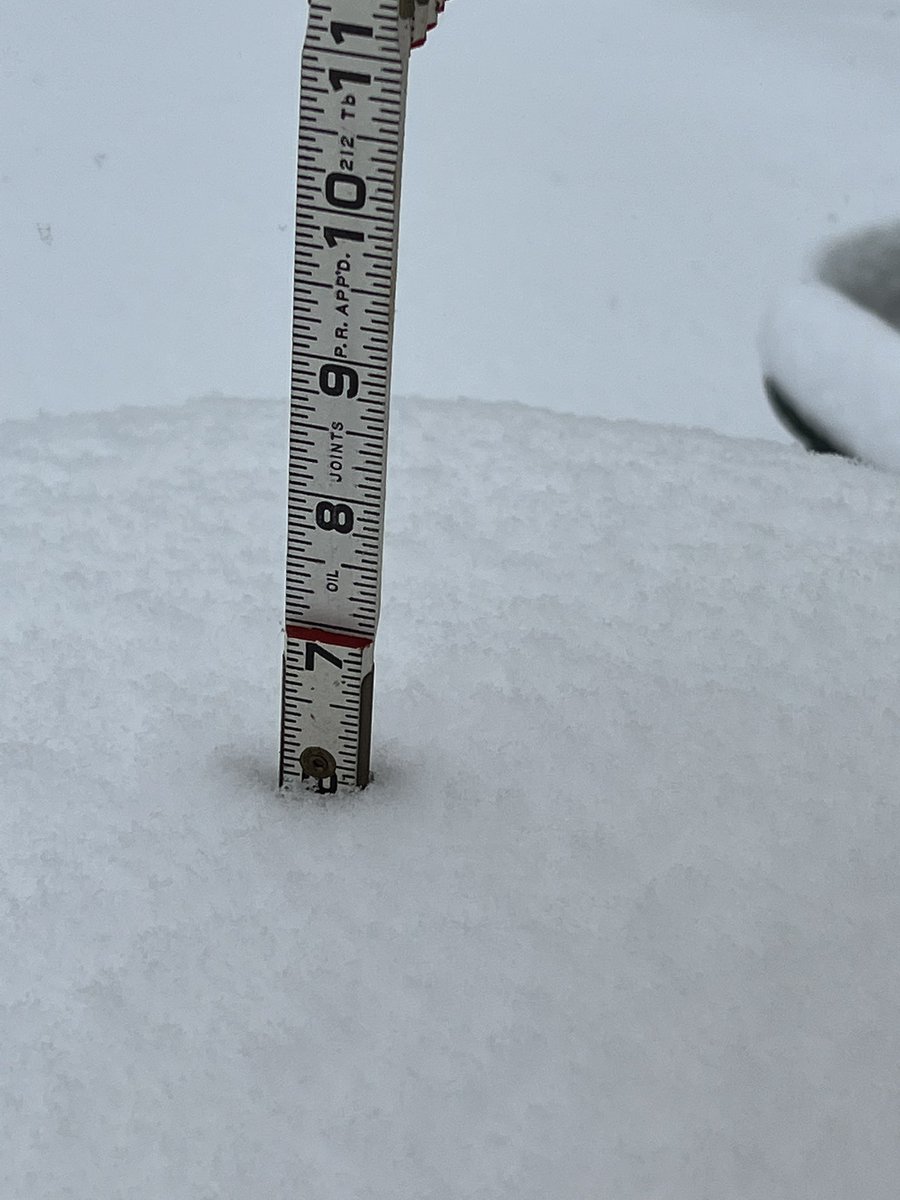 lm_norvell's tweet photo. @capitalweather Burtonsville MD at noon https://t.co/1uwhQfqrBT