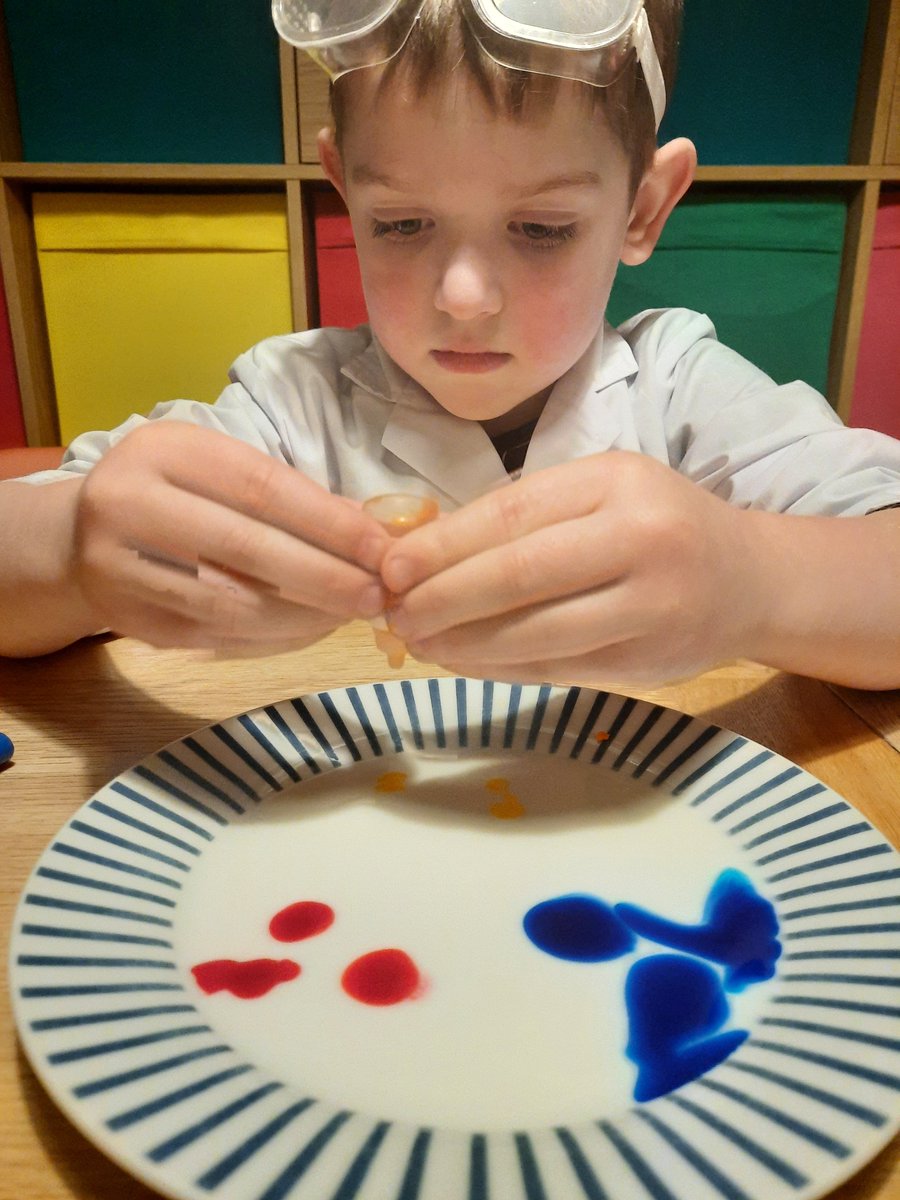 Dee07552036's tweet photo. @HollyfieldPri  #hollyfieldprisci @WilloftheBarrow 
Zachary enjoyed his colour burst experiment! https://t.co/TLgwEpFETc