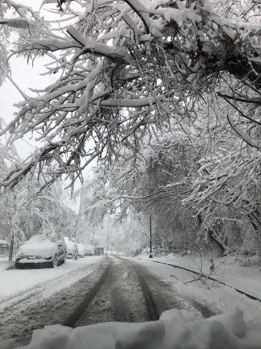 LizTweets4U's tweet photo. @capitalweather Whitehaven Street NW h/t: @kenwhite88 https://t.co/LNEw8ibqwU